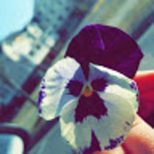 Meet your Posher, Melanie